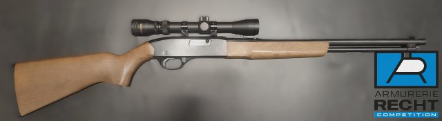 CARABINE WINCHESTER MOD. 190 CAL.22LR CAT.B